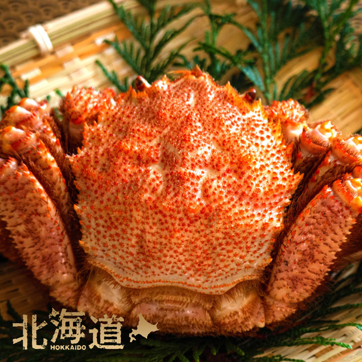 北海道産】 ボイル毛ガニ 450g x 2 – Oritz Shop
